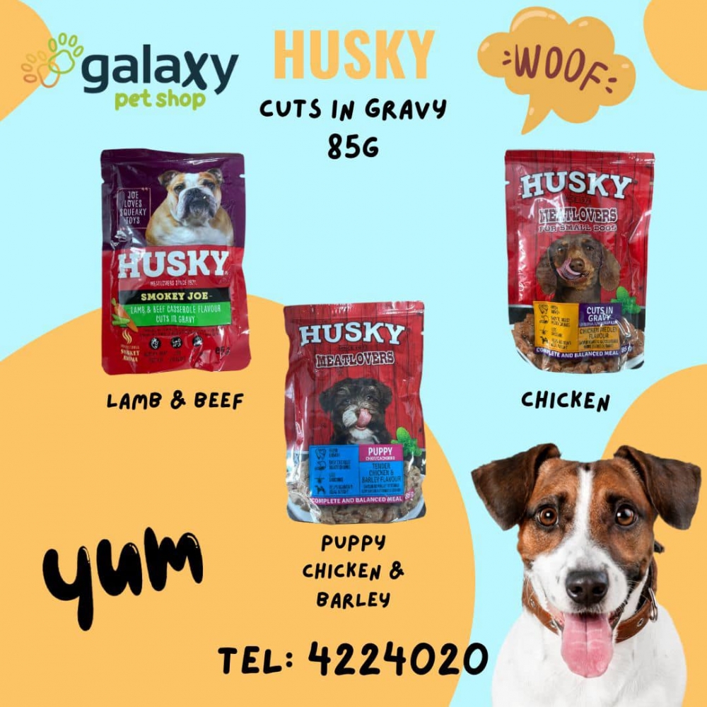 Galaxy Trading Pet Food Accessories SEYBUSINESS